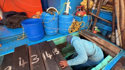 Ultimate Gulf Big Catch Marathon – 12 Minutes of Pure Action