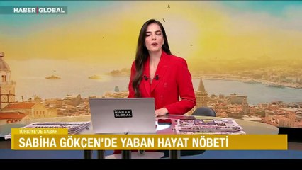 Sabiha Gökçen'de yaban hayat nöbeti: Uçuş güvenliği için 7 gün 24 saat izleniyor