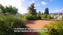 La biodiversité à Montbrison