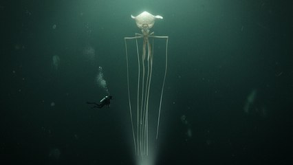 Plus on va en profondeur, plus les créatures deviennent effrayantes - Mais pourquoi ?