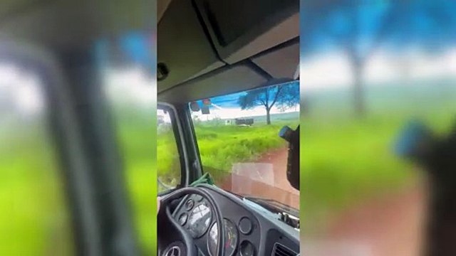 Mãe e filho morrem em grave acidente na BR-277, em Céu Azul