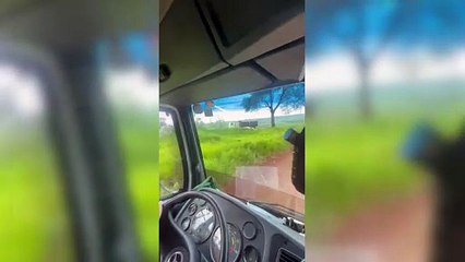 Mãe e filho morrem em grave acidente na BR-277, em Céu Azul