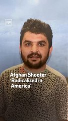 Afghan Shooter ‘Radicalized in America’