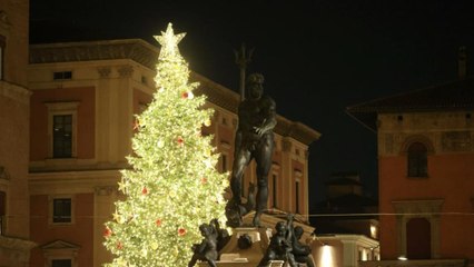 Il video dell'accensione dell'albero di Natale in piazza Nettuno a Bologna
