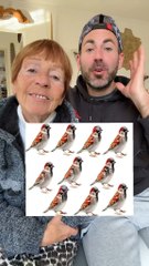 Venez me donner de la force sur Twitch les amis : arno padawan