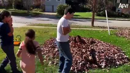 Best Pranks of 2024 😂 Funniest Pranks of the Year