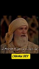 Golden Words 💘  Ibn Ul Arbi | Orhan Ghazi