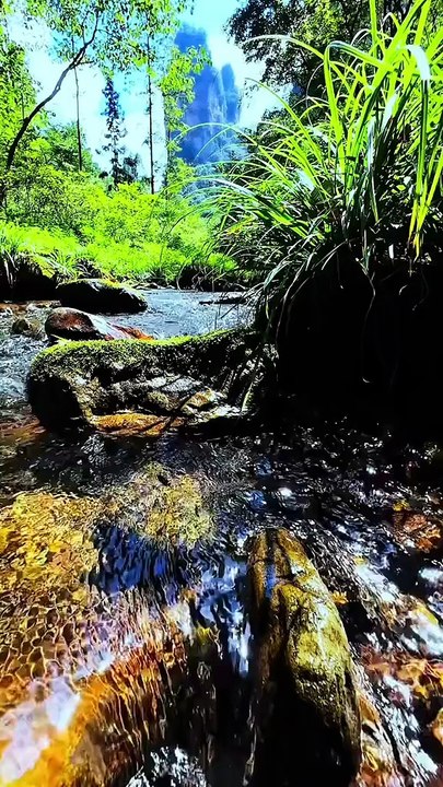 Nature sound