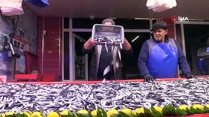 Bolu’da hamsinin kilosu 150 liraya düştü