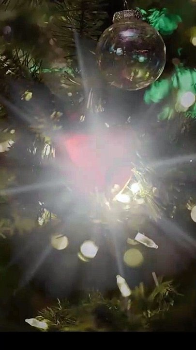 [ HOT MOVIE 2025 🔥 ] Oops! I Married My Forgetful Ex-Boyfriend Full Movie