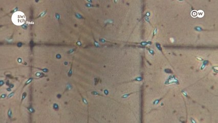 In Good Shape - Knocked sideways How to cope when life hits hard