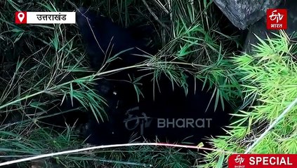 उत्तराखंड में चरम पर है मानव-वन्यजीव संघर्ष, 800 डेंजर जोन चिन्हित