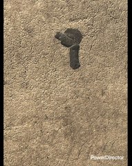 NOS ESTAN ENGAÑANDO EL DÍA QUE ENTIENDAN ESO EL MUNDO CAMBIARÁ TODO LO HACEN CON ANTICIPACIÓN FUTBOL POLÍTICA ETC LO DE MESSI ES UN CLARO EJEMPLO NO SON PROFECÍAS SON PLANES QUE LOS LLEVAN A CABO SE RÍEN DE NOSOTROS TODO ES UNA PUT@ MENTIRA