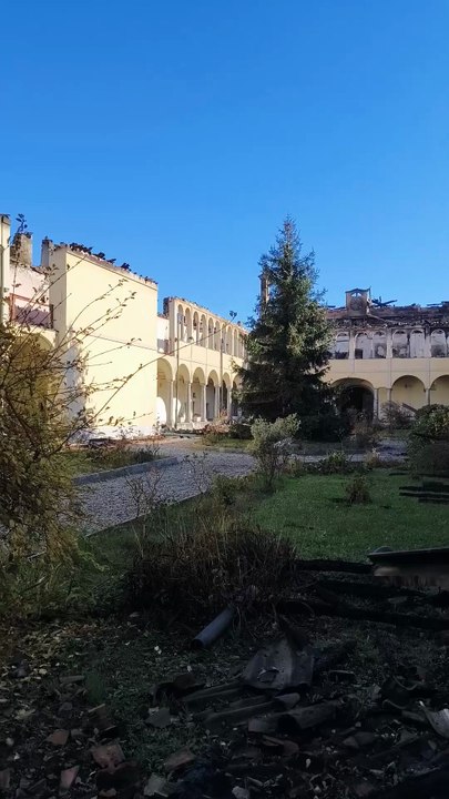 proiva zecchino