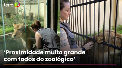 Veterinária compartilha momentos de carinho com leoa que matou jovem em João Pessoa