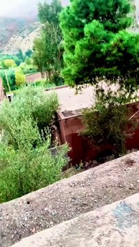 #reels tamazirte ifolkin Maroc