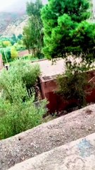 #reels tamazirte ifolkin Maroc