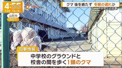 グッド!モーニング  2025年日12月1日