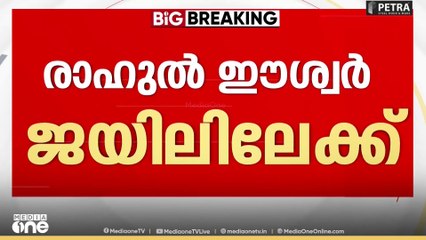'പച്ചക്കള്ളമാണ് കേസ്...'; പൊലീസ് വാഹനത്തിൽ നിന്ന് വിളിച്ചുകൂവി രാഹുൽ ഈശ്വർ