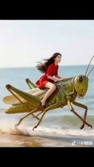 🤣 fanney enjoy short video