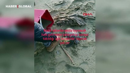 Misina ve ipe dolanan caretta carettaya vatandaştan yardım eli