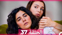 مسلسل هل يحبني الحلقة  37 (Arabic Dubbed)