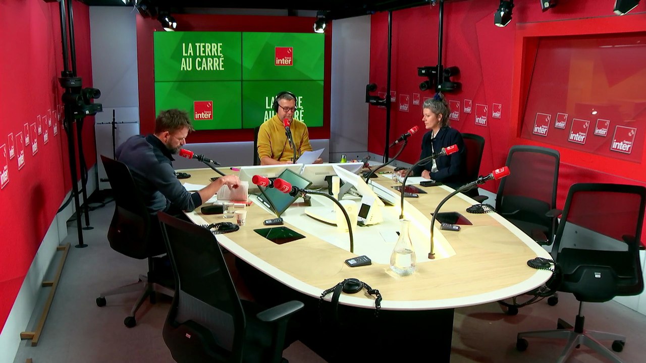 Saumon d'élevage : l'envers du décor d'une industrie dévastatrice - La terre au carré