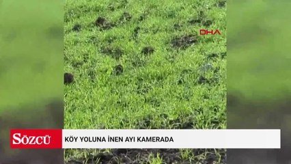 Köy yoluna inen ayı kamerada