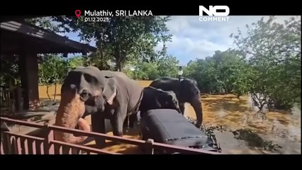 Srí Lanka: légi videó mutatja az árvíz kiterjedését; több mint 365 halott, 367 eltűnt