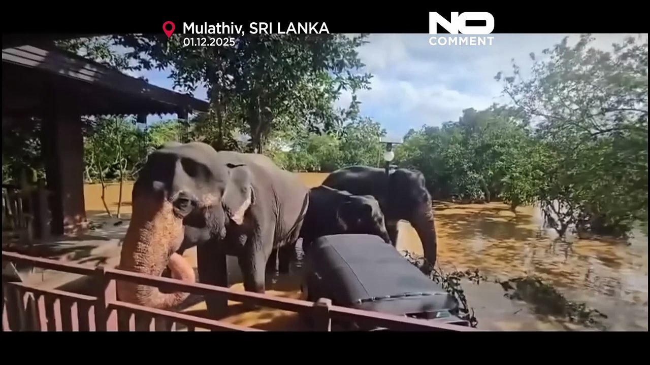 Sri Lanka: Luftaufnahmen zeigen Ausmaß der Überschwemmungen, über 365 Tote und 367 Vermisste