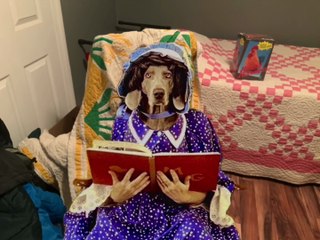 Sesame Street - William Wegman's Mother Goose (1997) (Full Remake HD Version)