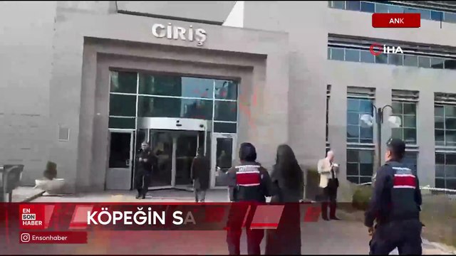 Ankara'da 2 çocuğu yaralayan pitbull cinsi köpeğin sahibi tutuklandı