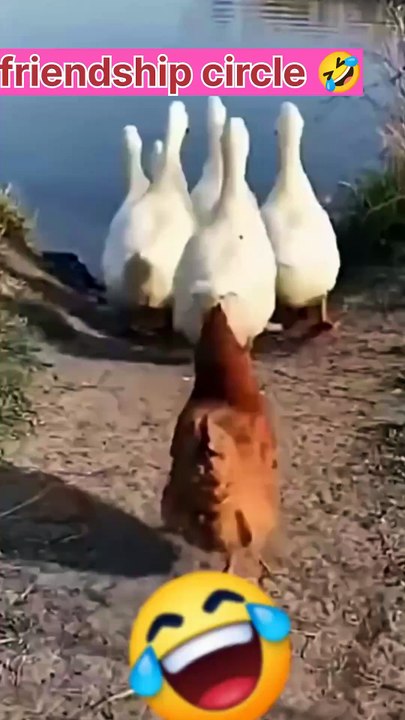 Funny friendship circle 🤣
