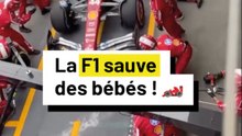 La F1 sauve des bébés !