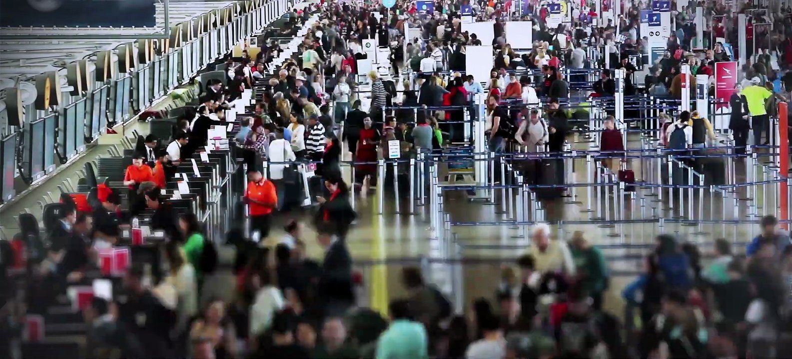 Les pieds sur terre Bande-annonce VF