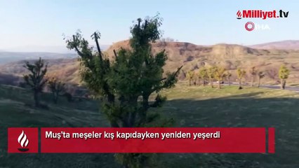 Köylüler gözlerine inanamadı! ‘15 yılda bir görülüyor, olağan dışı'