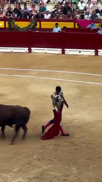 Alejandro Talavante acaba de indultar al extraordinario “Gavilán” de Núñez del Cuvillo en Alican