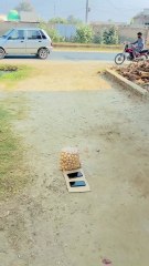 Walnuts and mobile phones for me😅🤣