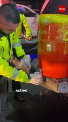 Operativo Carrusel: Protección Civil brinda calor a personas en situación de calle