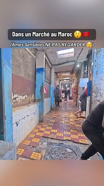 Choqué par ce Marché au Maroc 😲🇲🇦