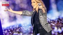 Celine Dion Documentary from Sony Music Entertainment in the Works | THR News