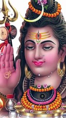 महाकाल की कृपा छाया | Mahakal Ki Kripa Chaya #mahakal #mahadev #shivashambhu #bholenath #shankar