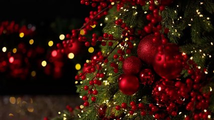 Per l'Albero di Natale si torna al classico: il colore