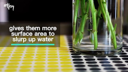 Want Your Flowers to Last for Weeks? Try These Easy Tricks