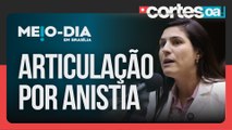 Oposição na Câmara atua por anistia a Jair Bolsonaro