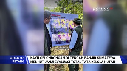 Klaim Kemenhut Soal Kayu Gelondongan di Tengah Banjir Sumatera Tuai Sorotan, Janggal & Umbar Janji?