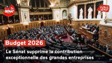 100% Sénat - Le Sénat rejette la contribution exceptionnelle des grandes entreprises