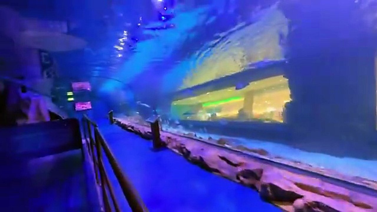 Dubai (beautiful)