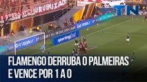 Flamengo derruba o Palmeiras e vence por 1 a 0