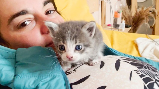 Woman Finds A TINY Kitten In Her Hostel While On Vacation